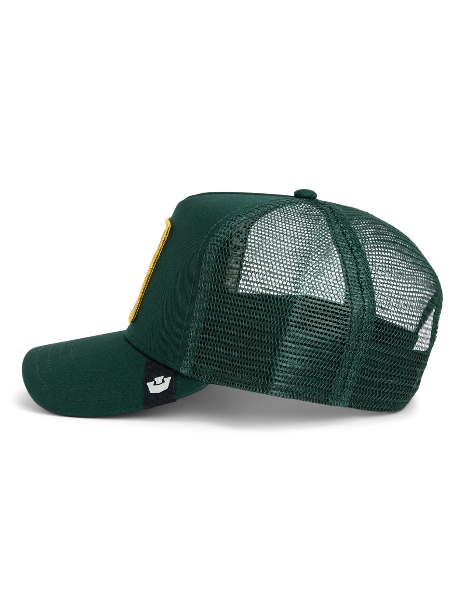 Gorra visera curva snapback casual Fall Winter para adulto 2