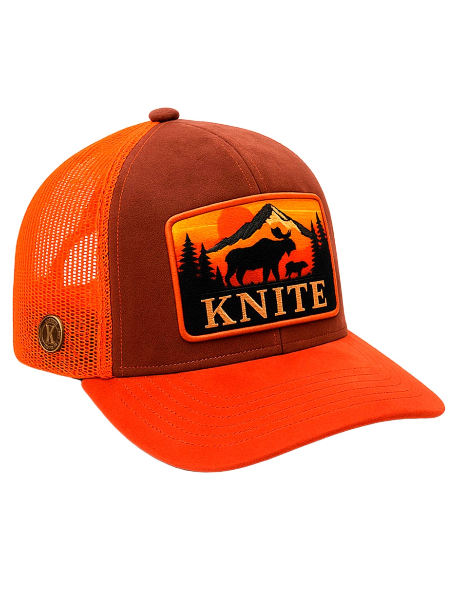 Gorra visera curva snapback para casual para hombre
