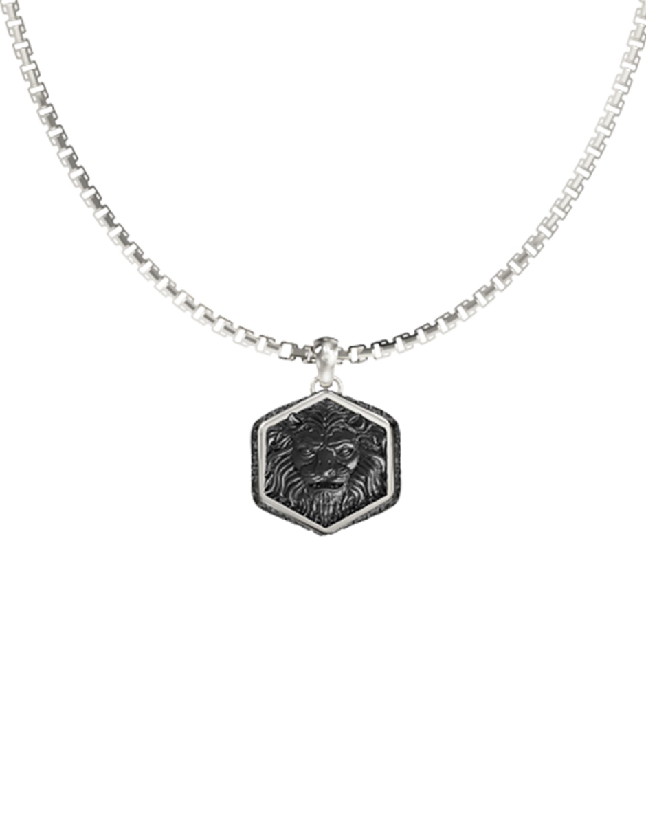 Collar de león 2