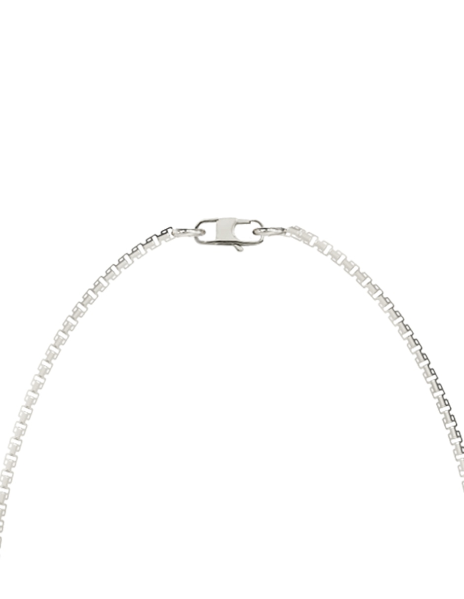 Collar de león 3