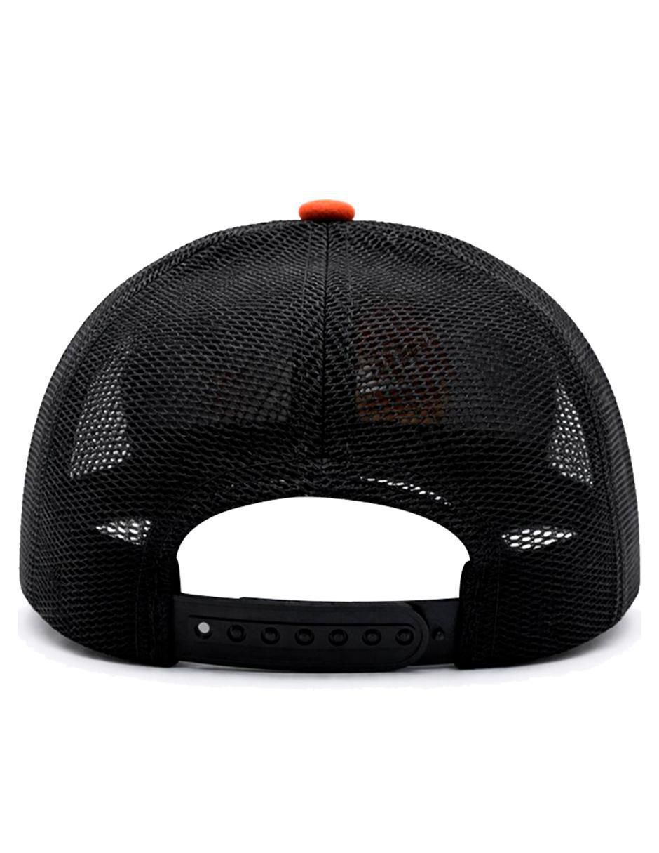 Gorra visera curva snapback casual Tool Dos Basic para hombre 4