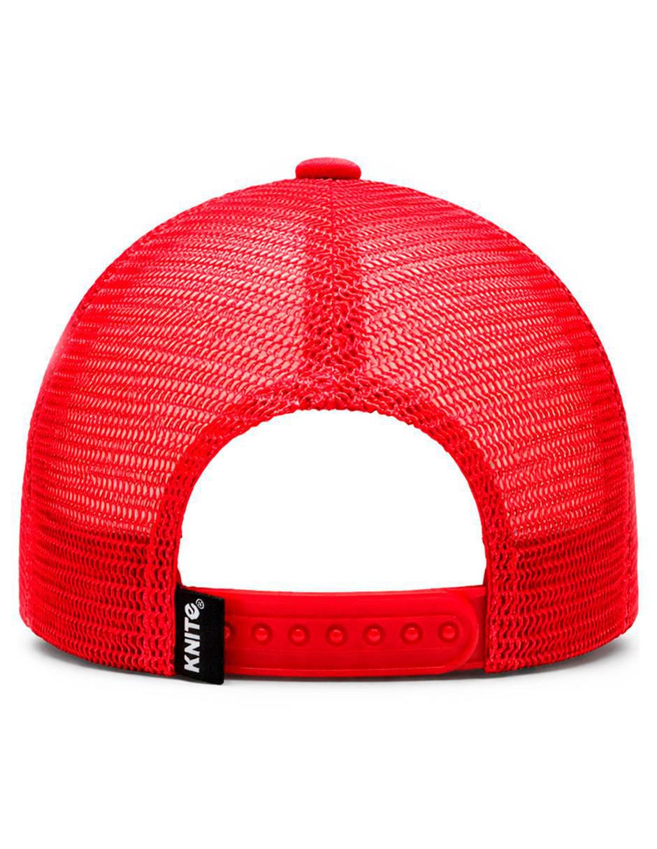 Gorra visera curva snapback casual Tools Tool CL Series para hombre 4