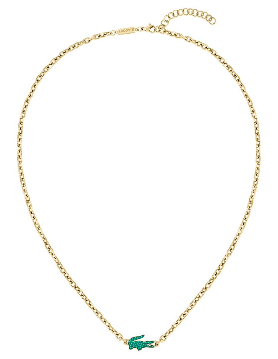 Collar de cocodrilo Arthor 3