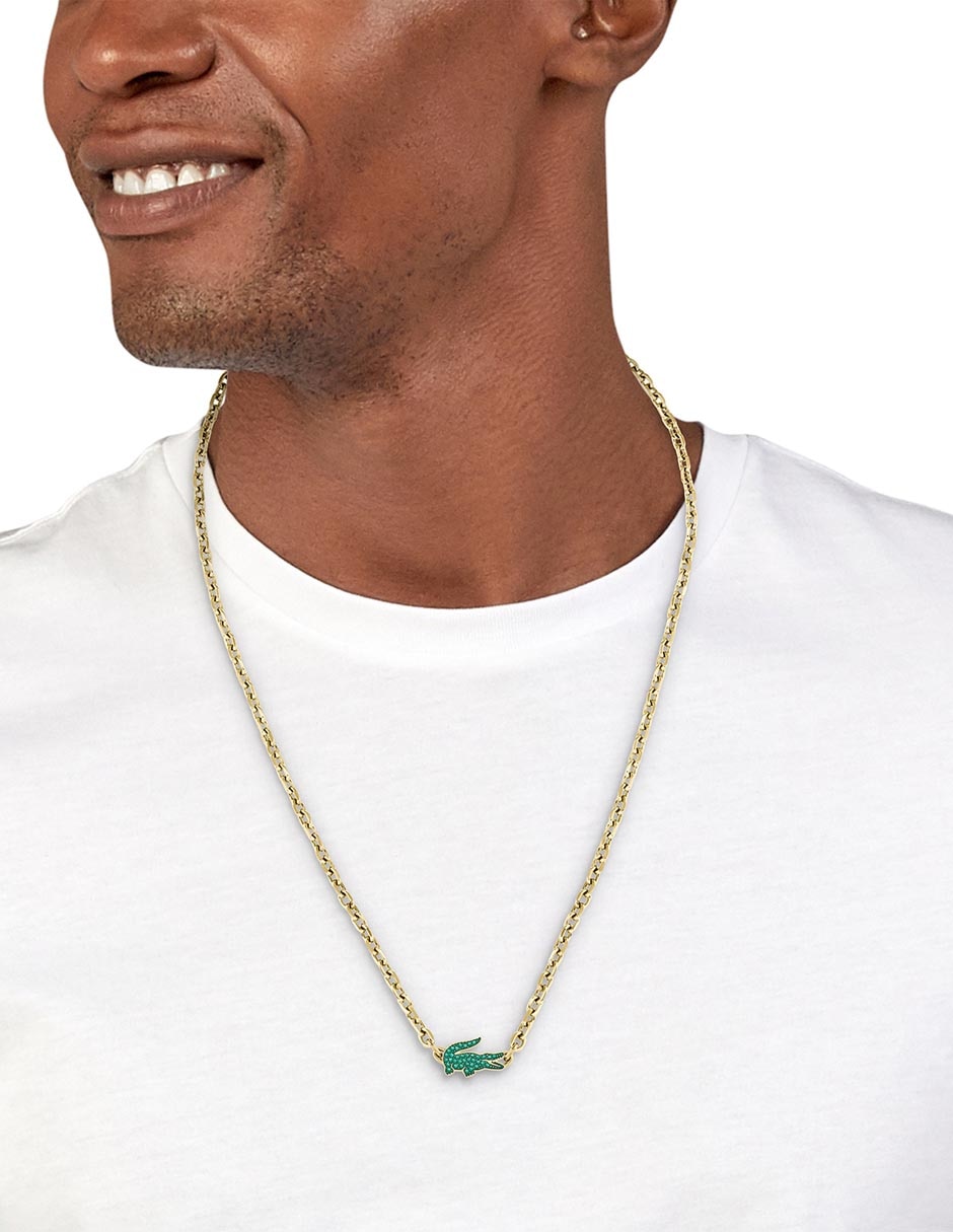 Collar de cocodrilo Arthor 4