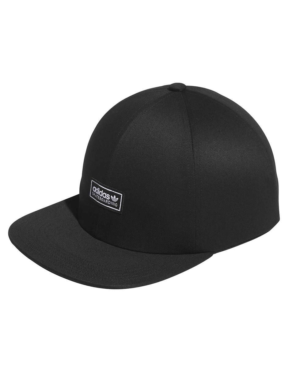 Gorra visera curva snapback para skate para hombre