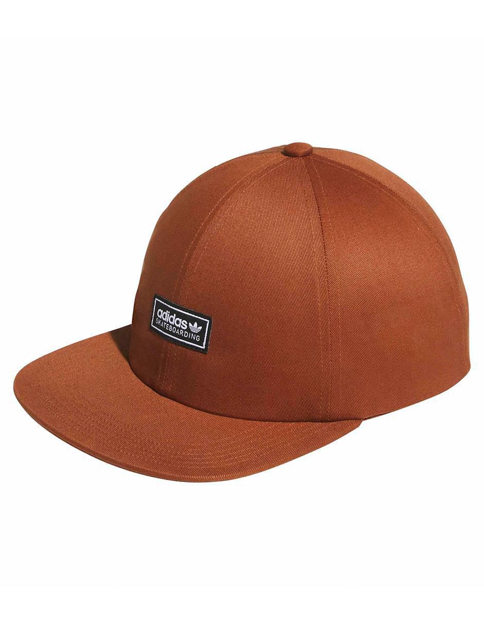 Gorra visera curva snapback para skate para hombre